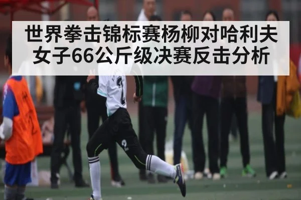 世界拳击锦标赛杨柳对哈利夫女子66公斤级决赛反击分析